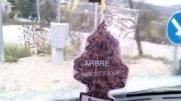 arbre-arrosticini1