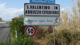 sanvalentino-segnale1