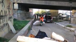 barboni-ponte-ferro11