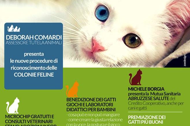 sportello-animali-montesilvano