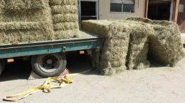 balla-fieno1