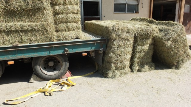 balla-fieno1