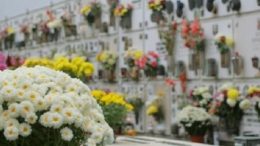 cimitero11