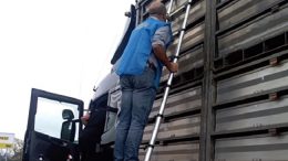 controlli-animali-vivi