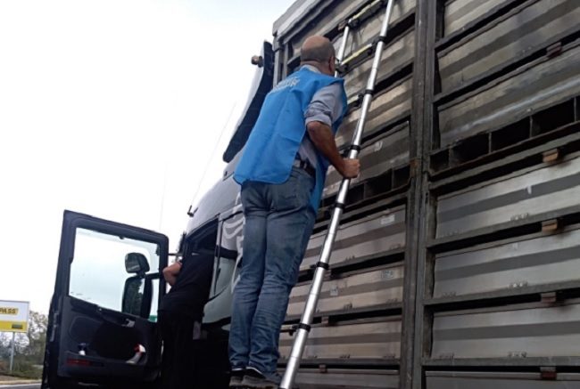 controlli-animali-vivi