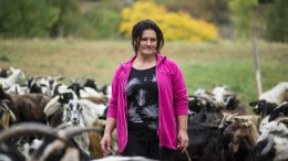 teresa-alleva-speranza11